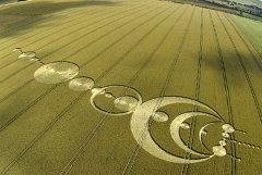 crop.cerchi nel grano